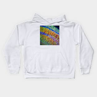 Brain cells, fluorescence micrograph (C023/4113) Kids Hoodie